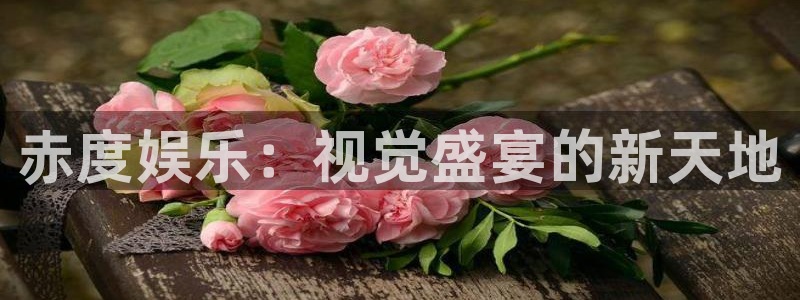 狗子28游戏官网入口注册