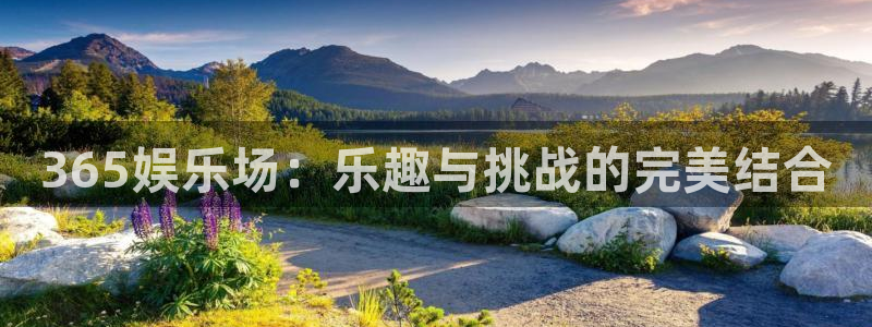 狗子28官网
