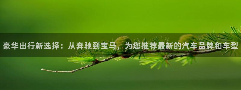 狗子28游戏官网入口注册