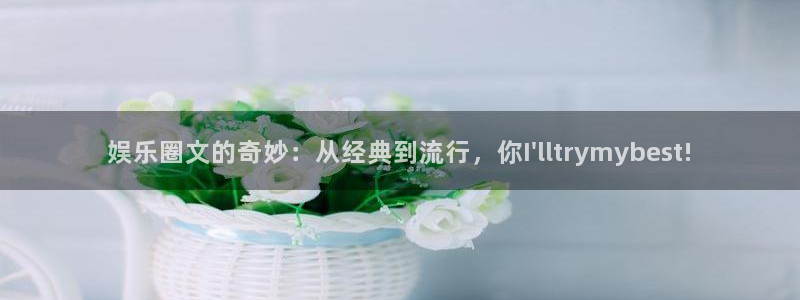 狗子28官网