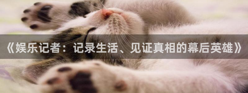 狗子28游戏