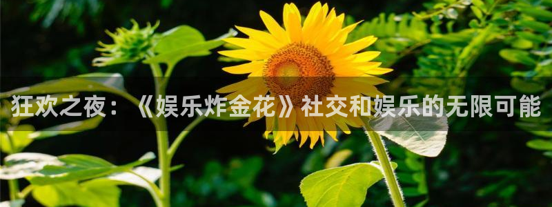 狗子28.ccmpc