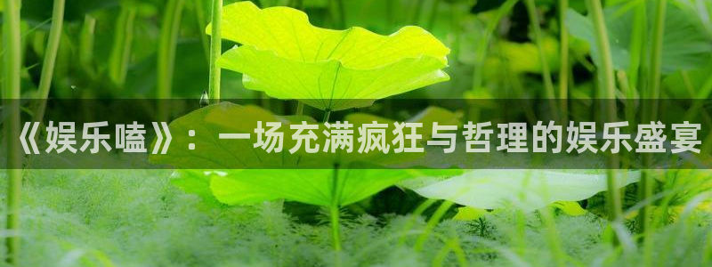 狗子28链接