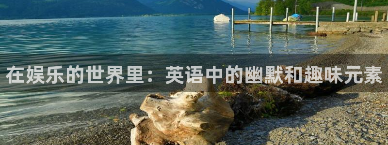 狗子28平台