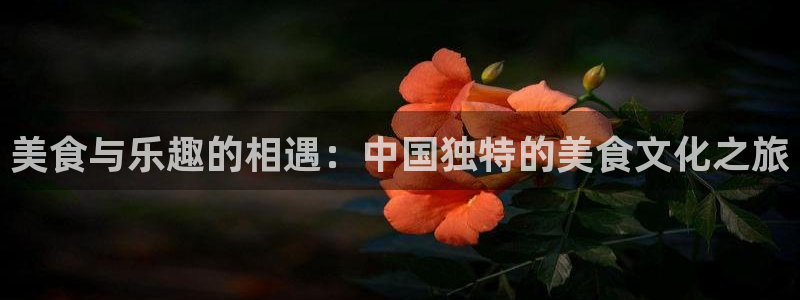 狗子28.ccm官网